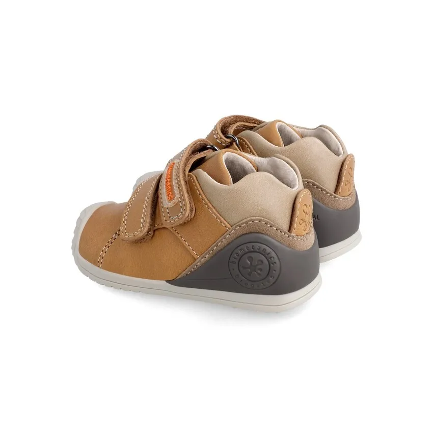 BIOMECANICS 211136 BOTIN ARENA