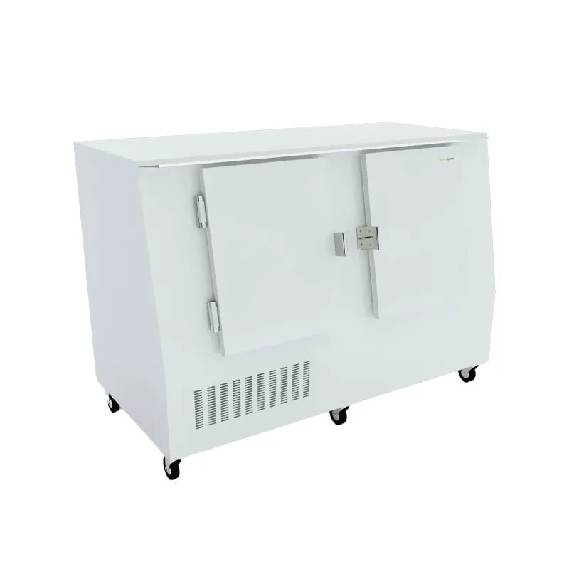 Congelador cabina para hielos CH 1000 Clifrihos