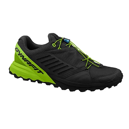 DYNAFIT Alpine Pro BlackDNA green