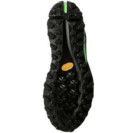 DYNAFIT Alpine Pro BlackDNA green