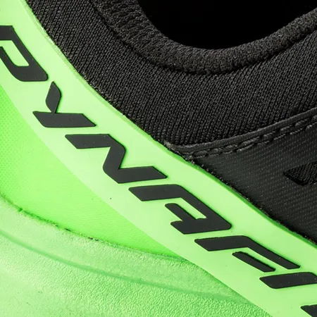 DYNAFIT Alpine Pro BlackDNA green