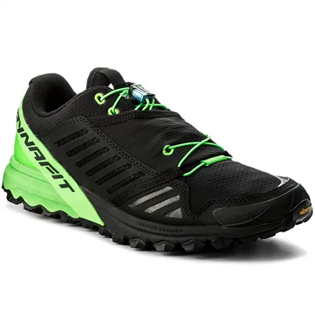 DYNAFIT Alpine Pro BlackDNA green