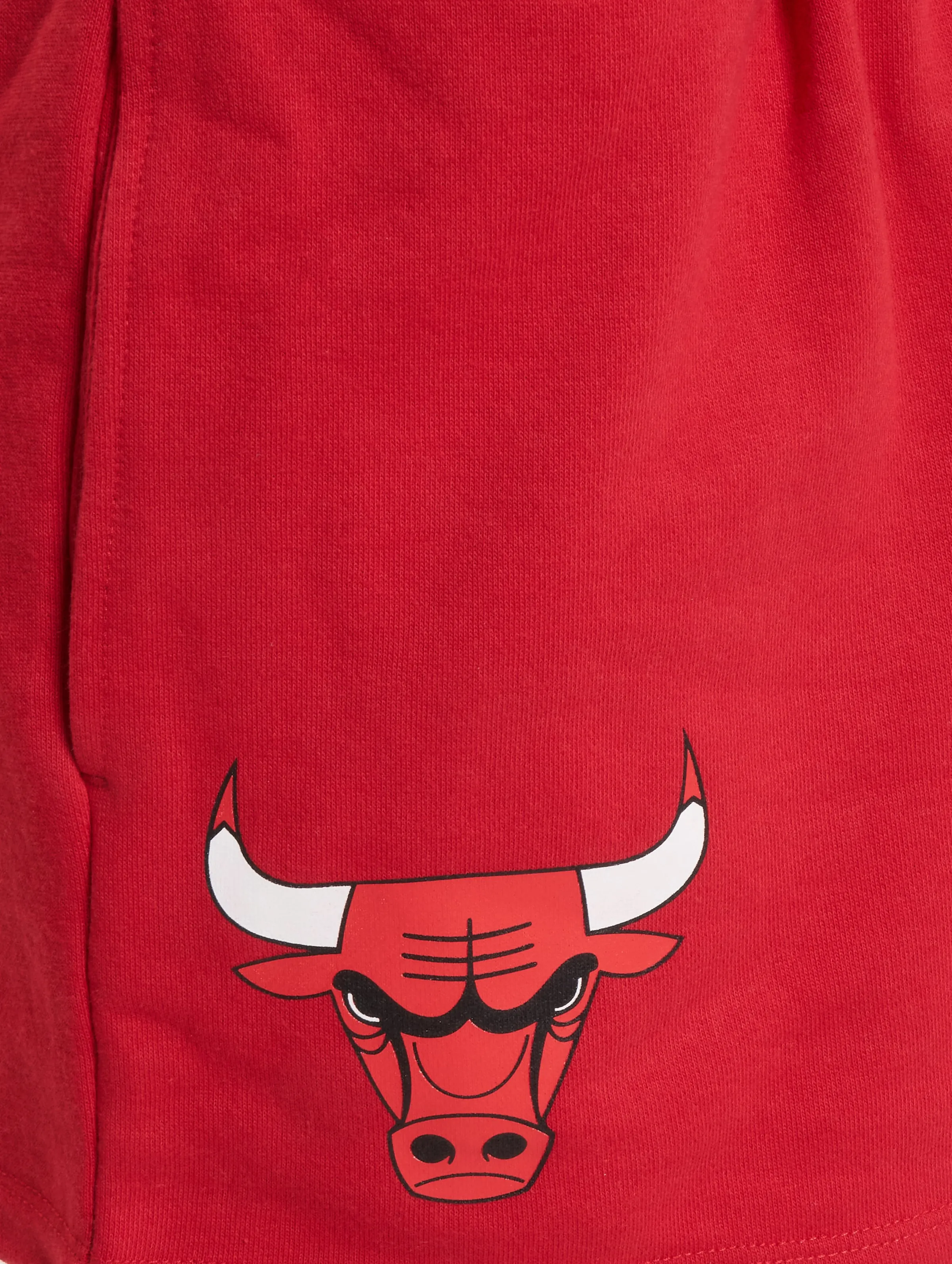 NBA Team Logo Chicago Bulls