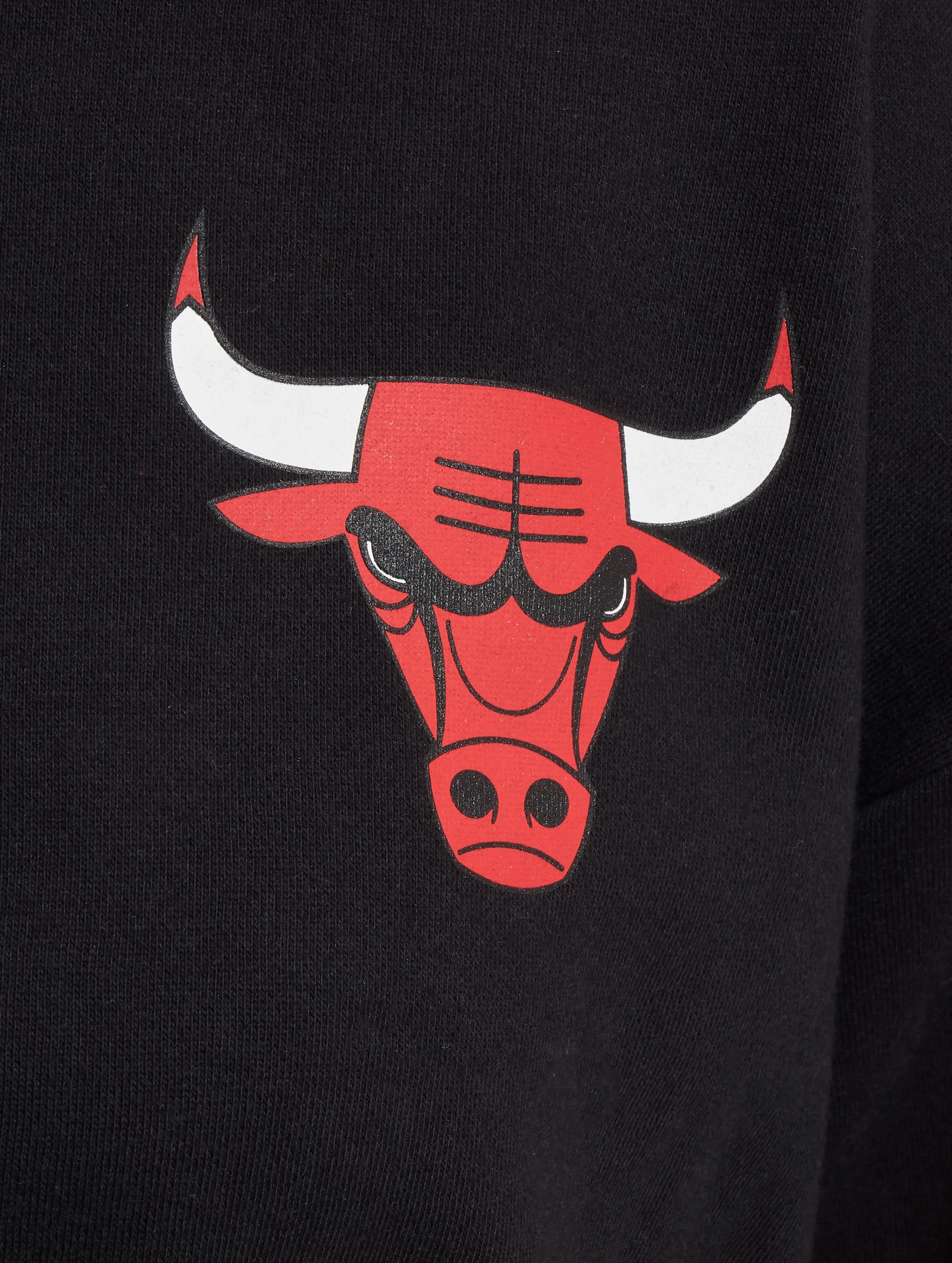 NBA Team Logo Crop Chicago Bulls