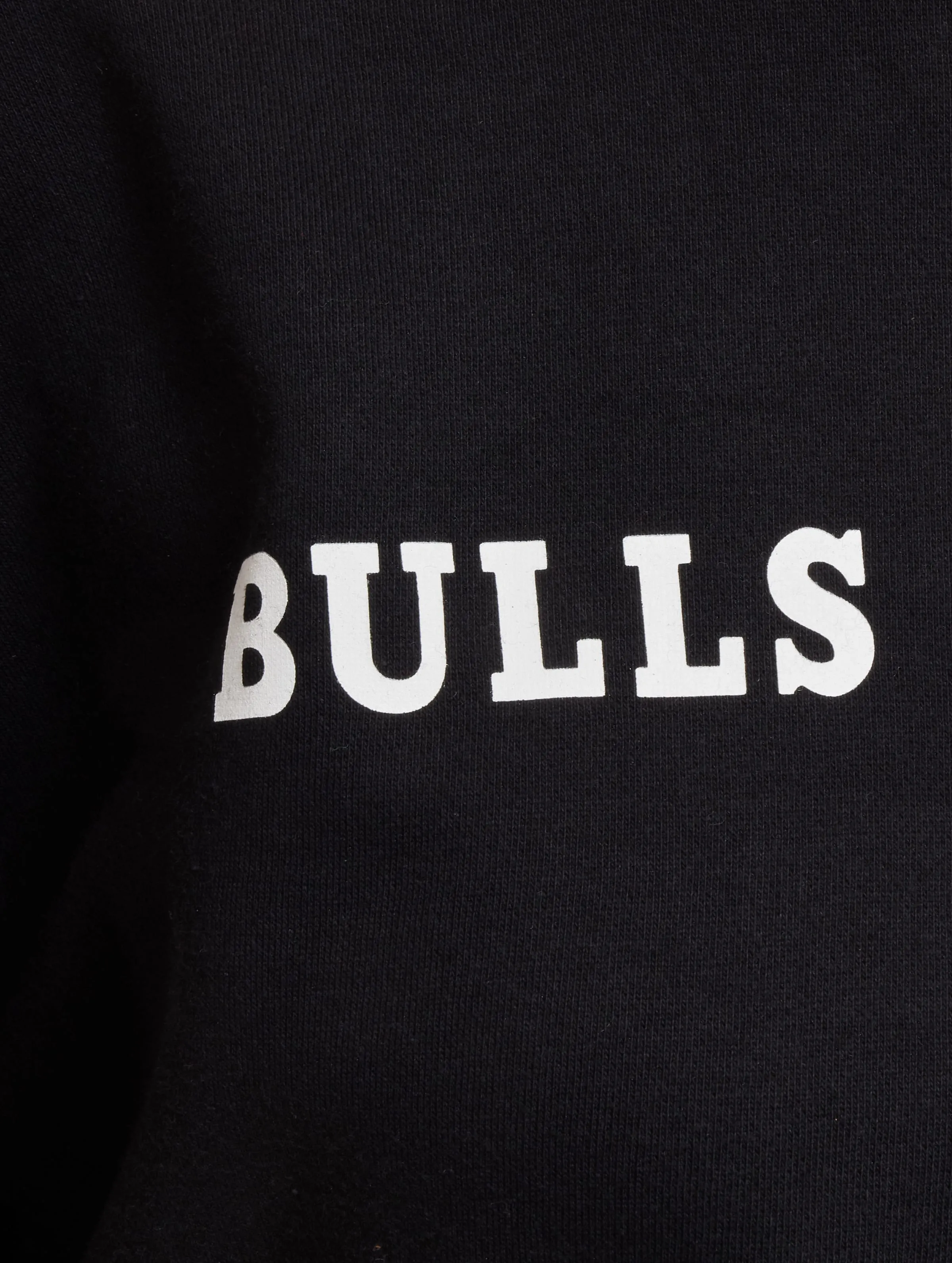 NBA Team Logo Crop Chicago Bulls