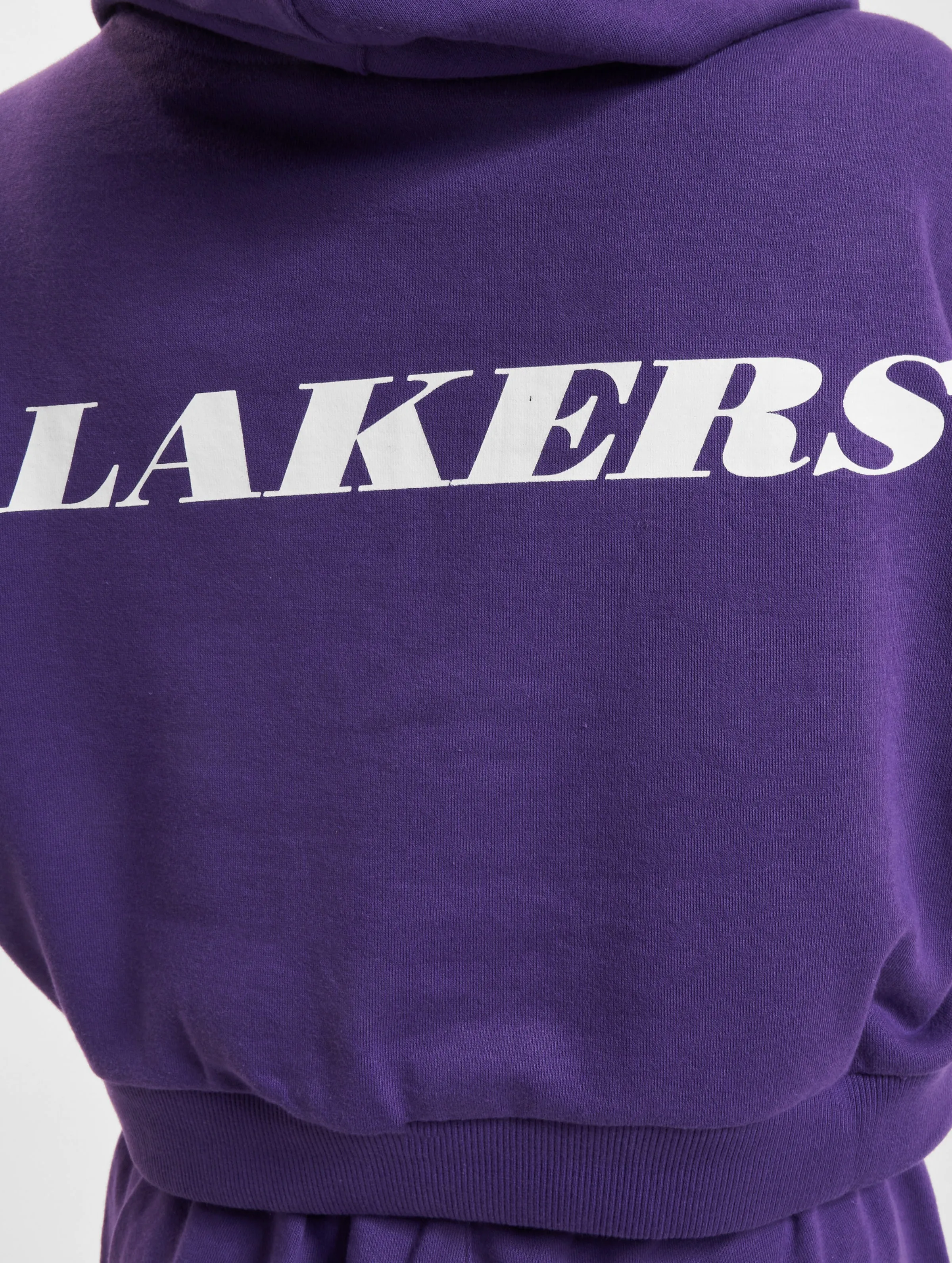 NBA Team Logo Crop LA Lakers 
