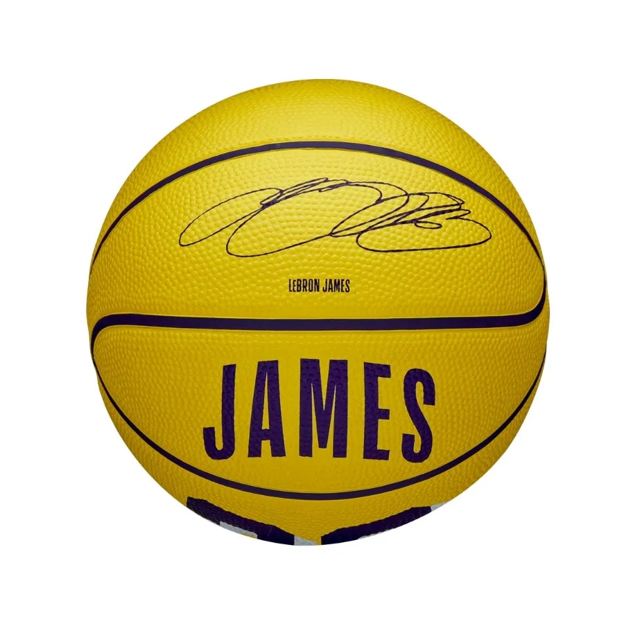  Pelotas Wilson Nba Player Icon Mini Bskt Lebron New 3