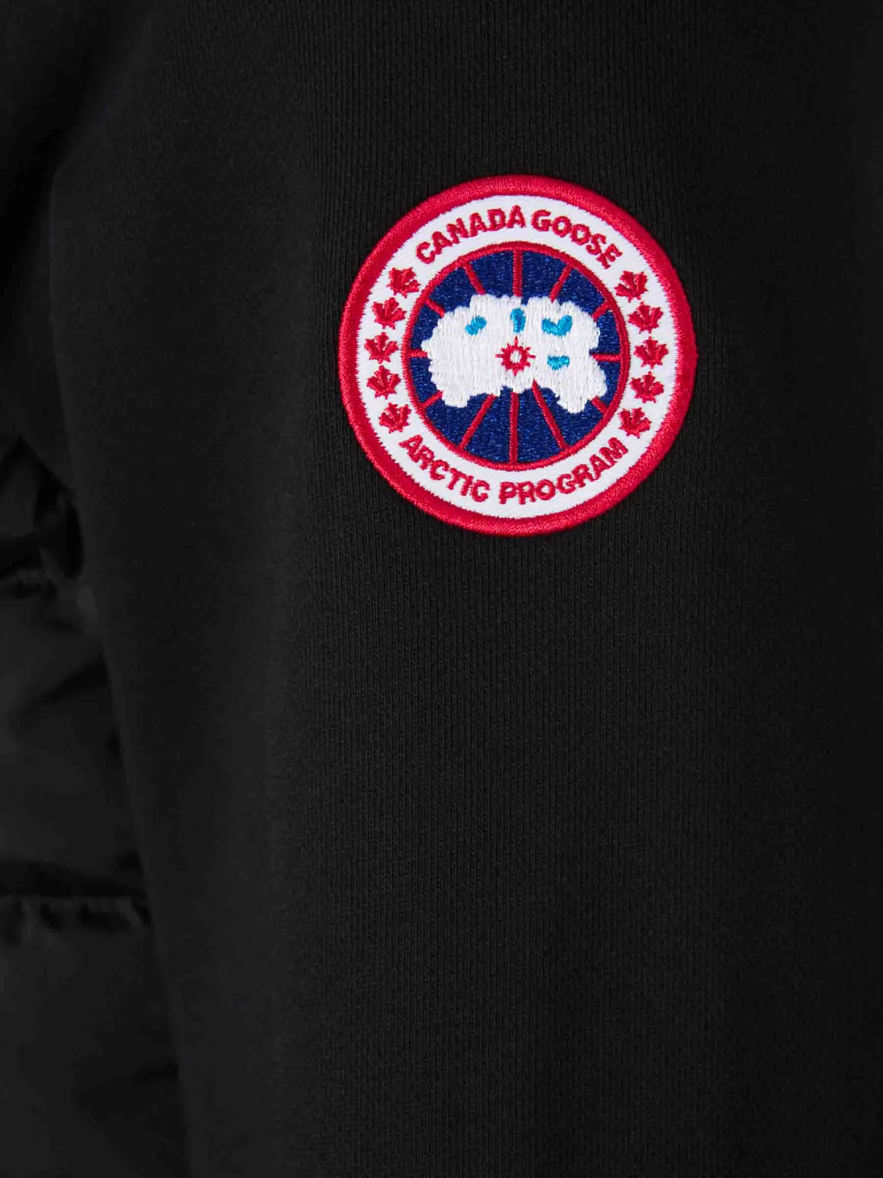 Sudadera Zip Up Acolchada