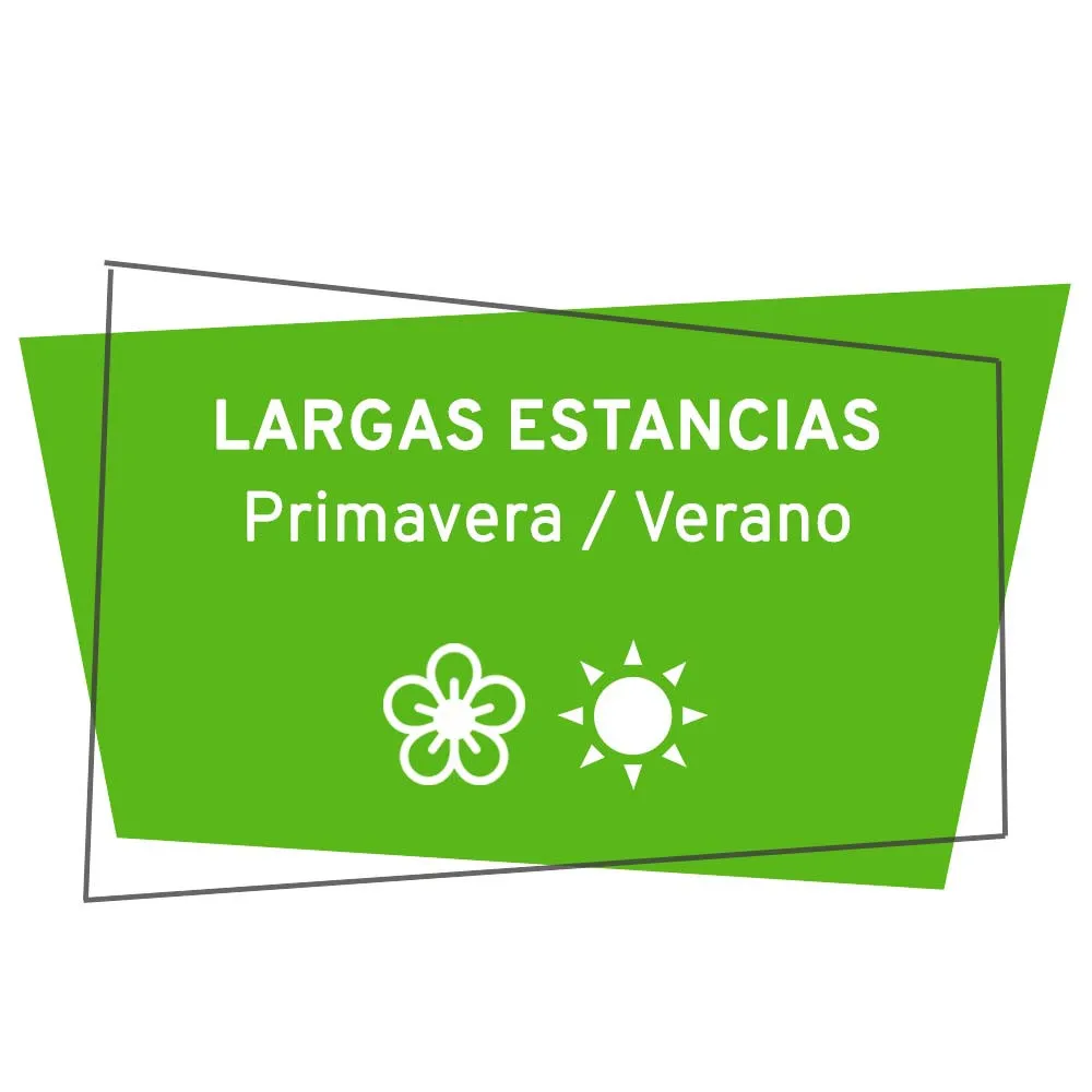 SUMMERLINE LIBERTY AIR  AVANCé HINCHABLE INDEPENDIENTE AUTOCARAVANA FURGONETA