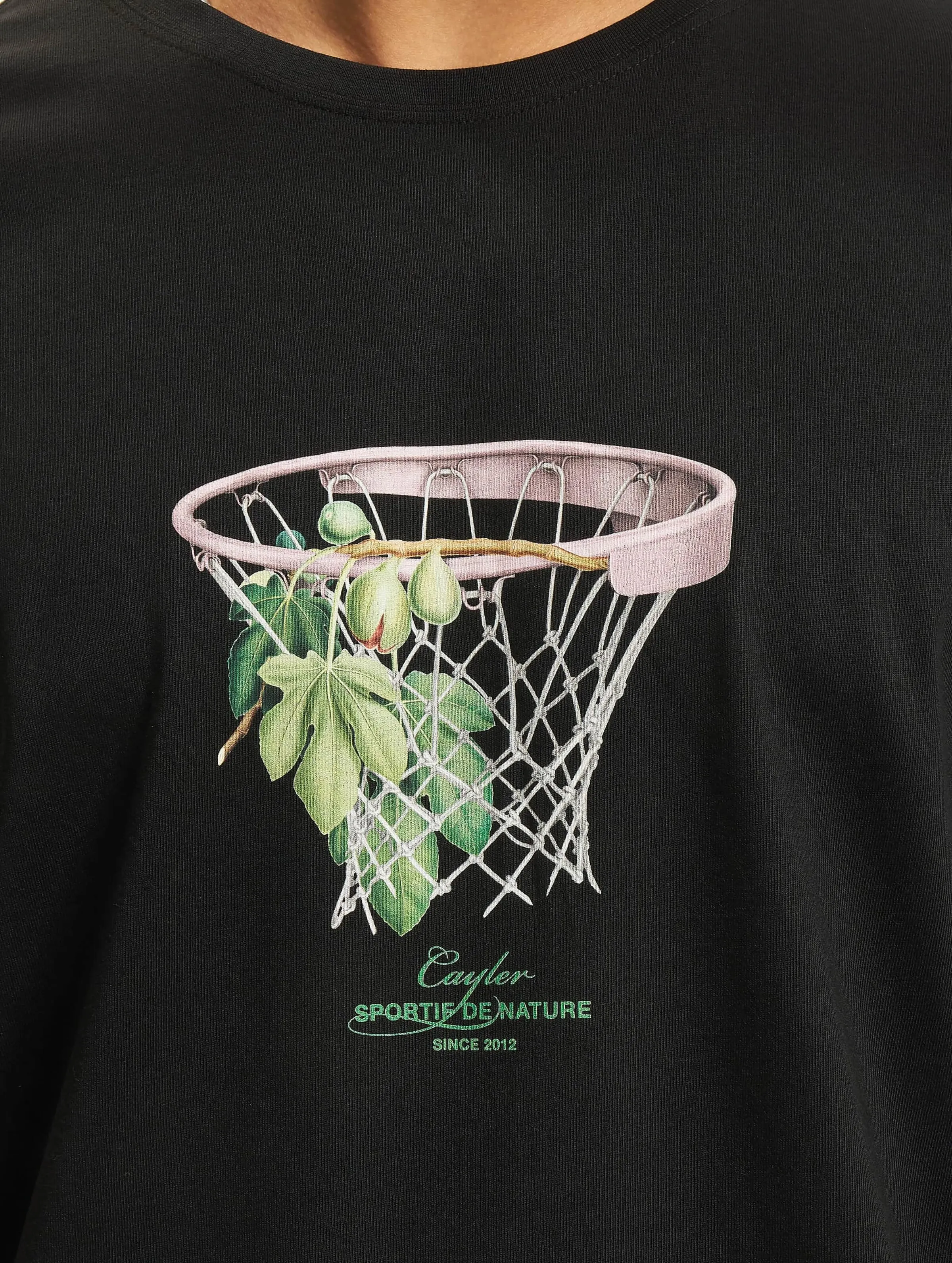 The Basket 