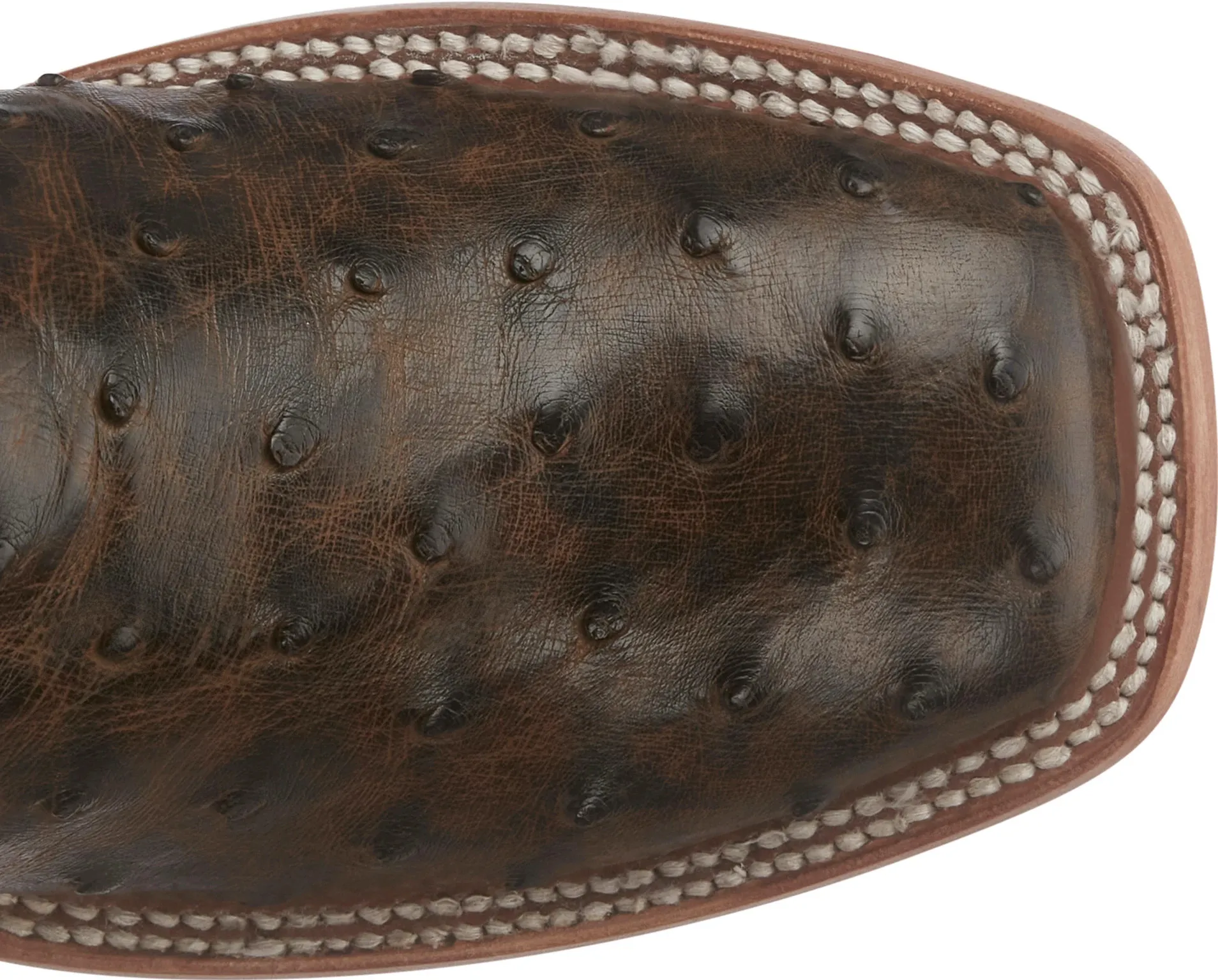 Tori 11" Full Quill Ostrich